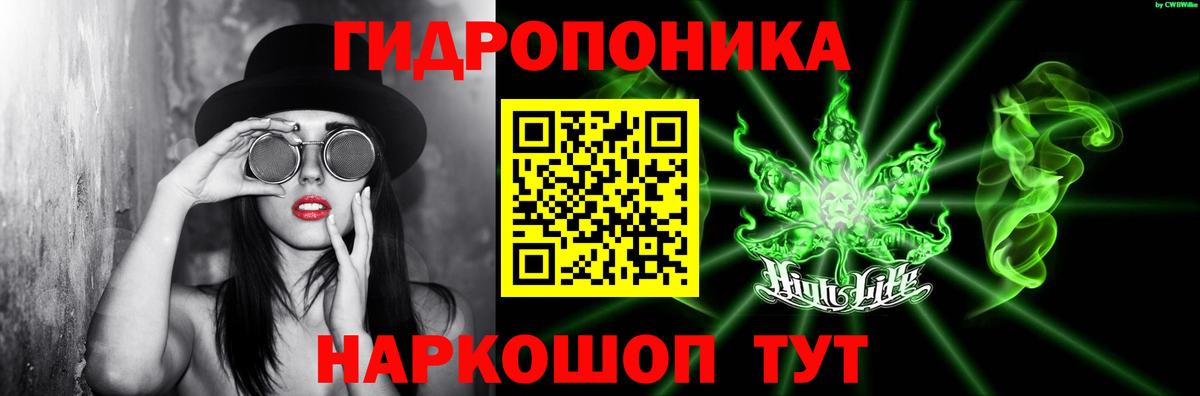 МАРИХУАНА сатива Томск